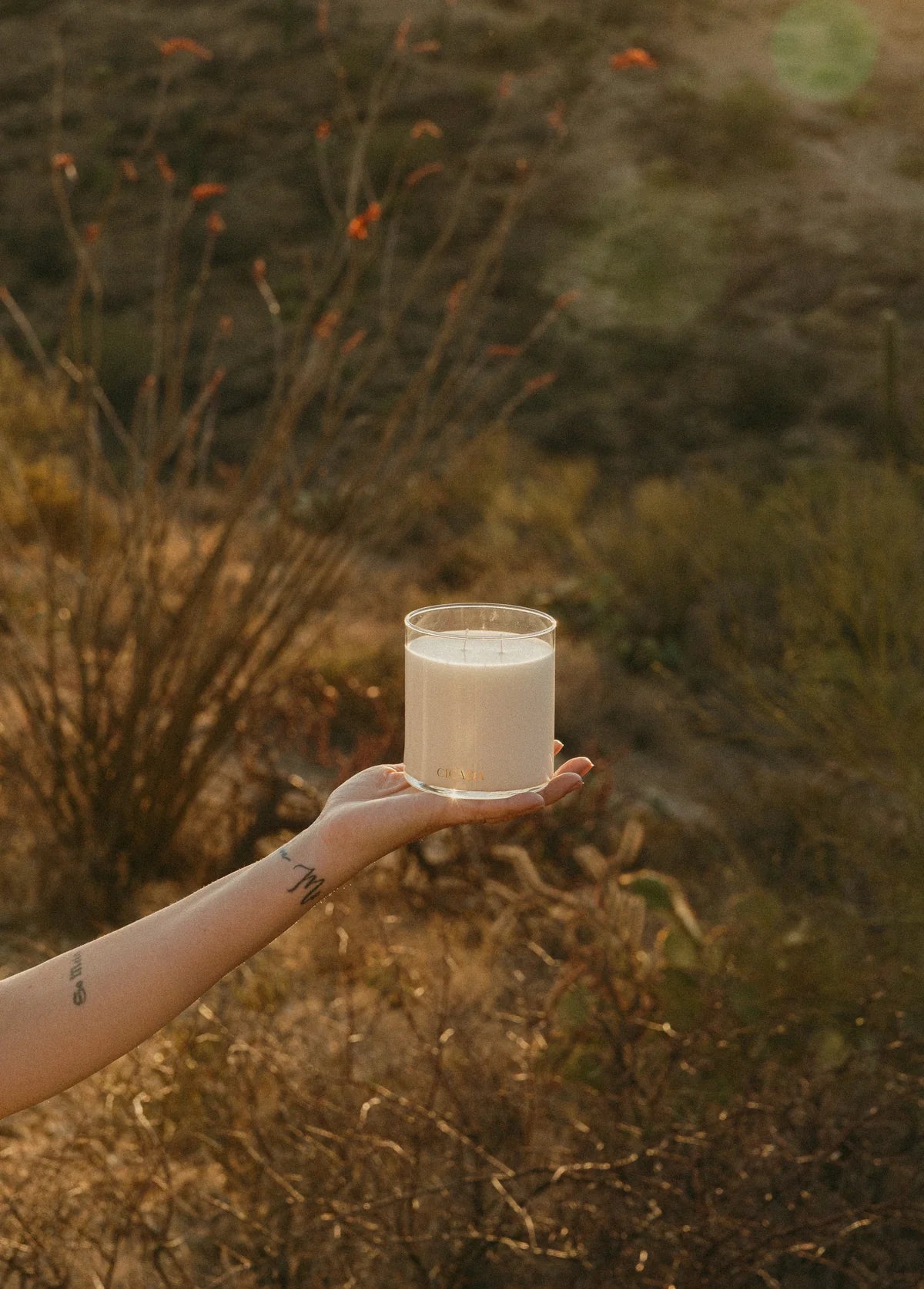 No. 06 scent of hidden rivers
