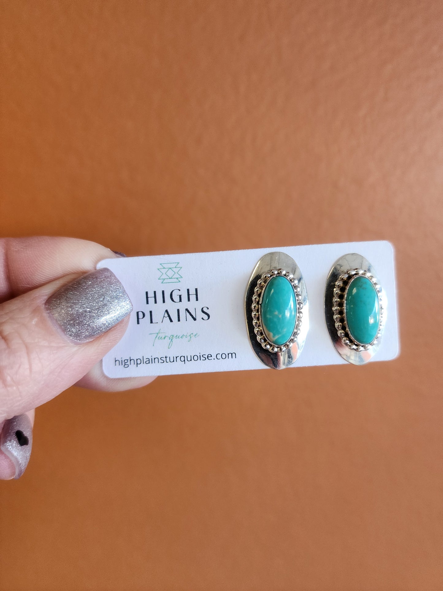 Kingman and Sterling Silver Oblong Earrings