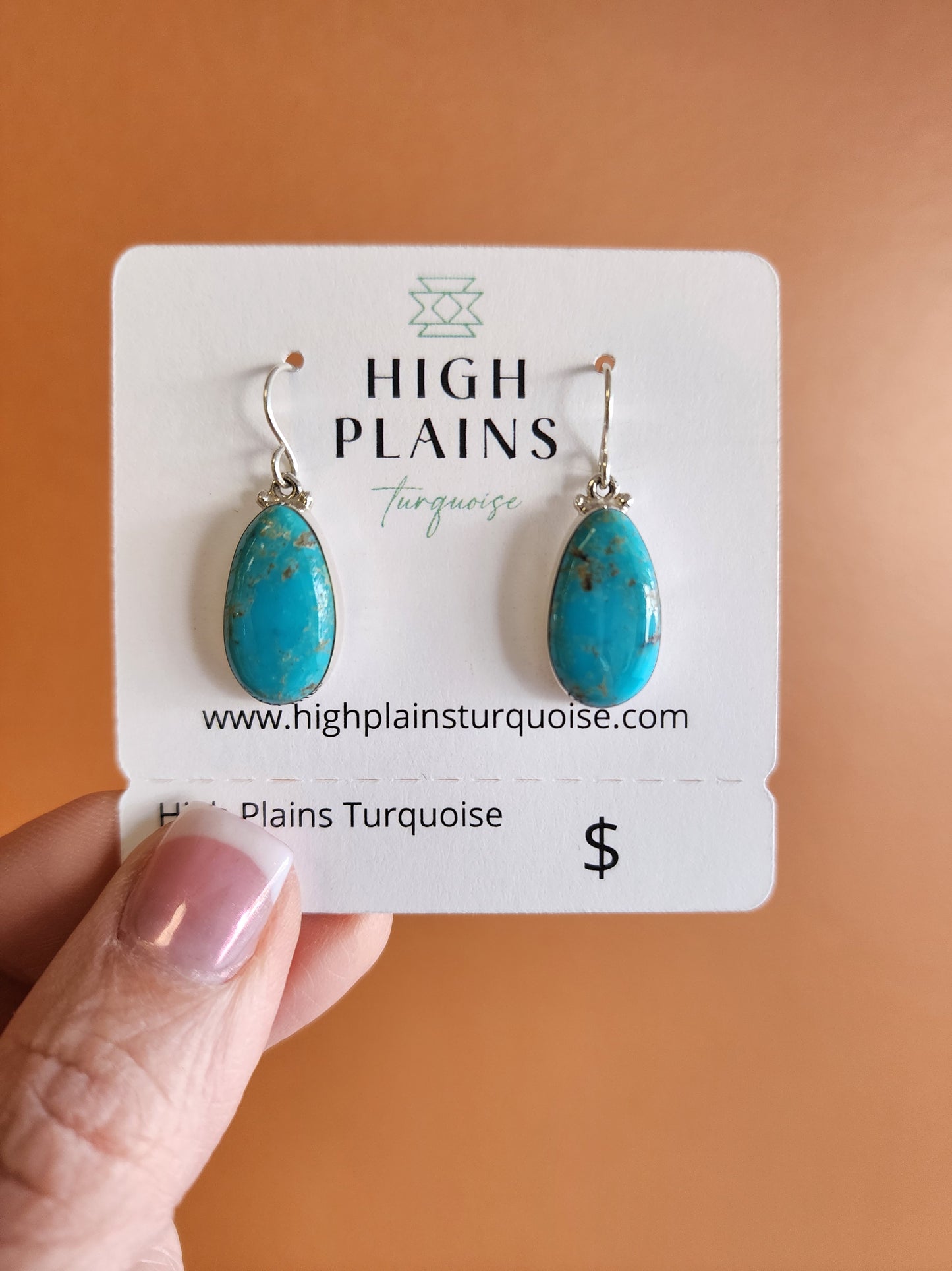 Cathy Webster Turquoise Drop Earrings