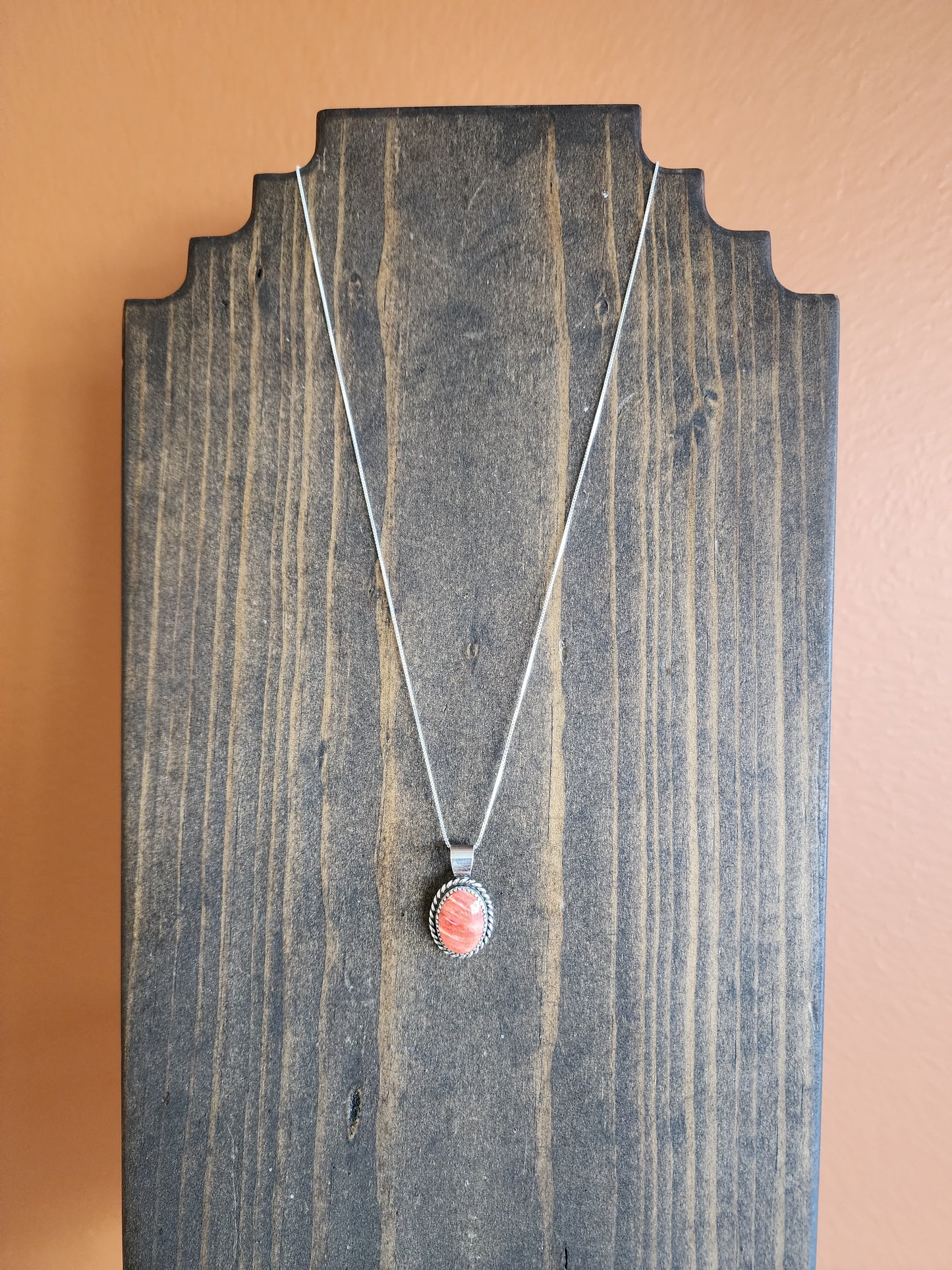 Spiny Pendant Necklace with Sterling Rope accent