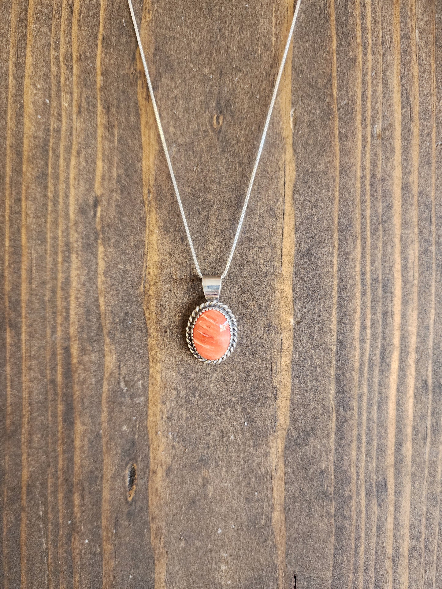 Spiny Pendant Necklace with Sterling Rope accent