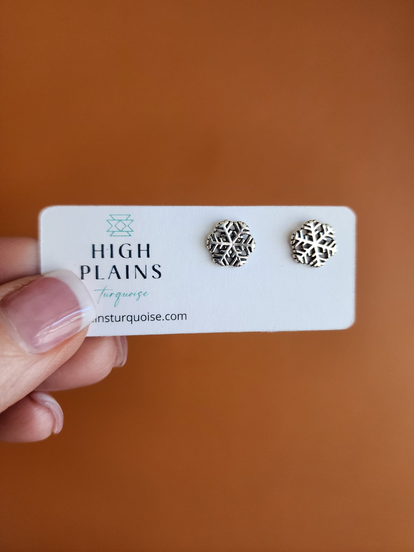 Sterling Silver Snowflake Earrings