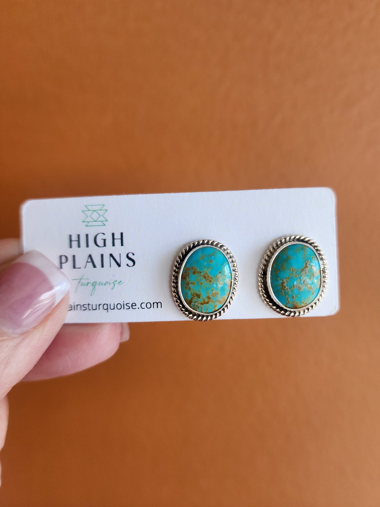 Kingman Turquoise Perfect Post Earrings