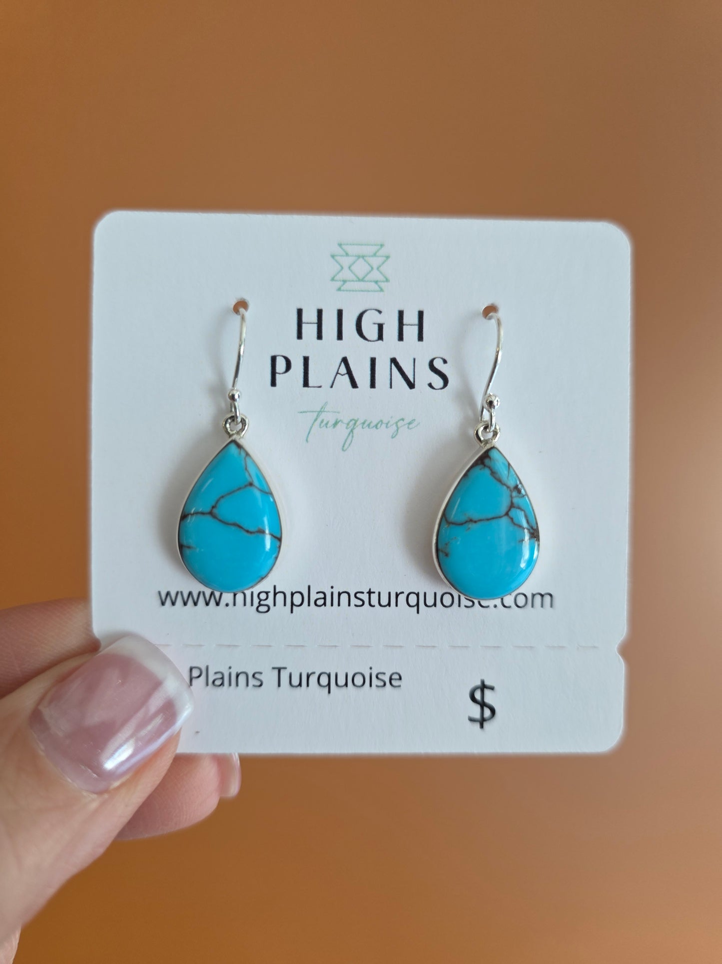 Timeless Teardrop Earrings