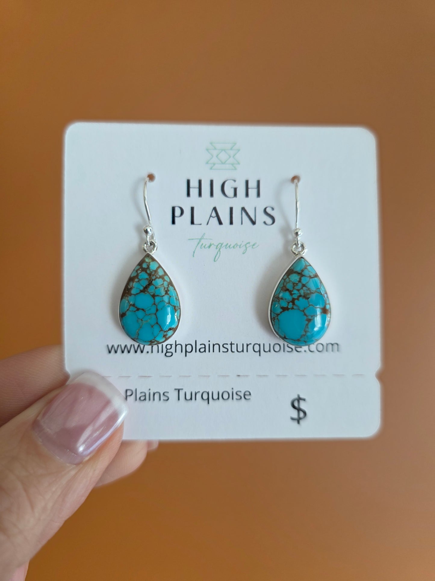Timeless Teardrop Earrings