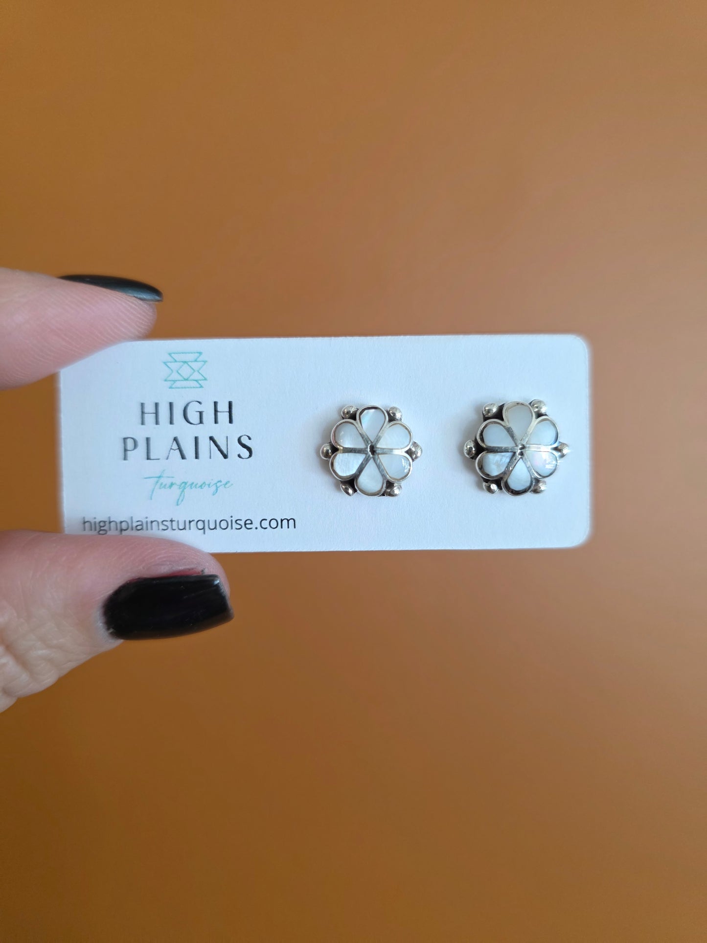 Zuni Flower Earrings with Sterling Inlay