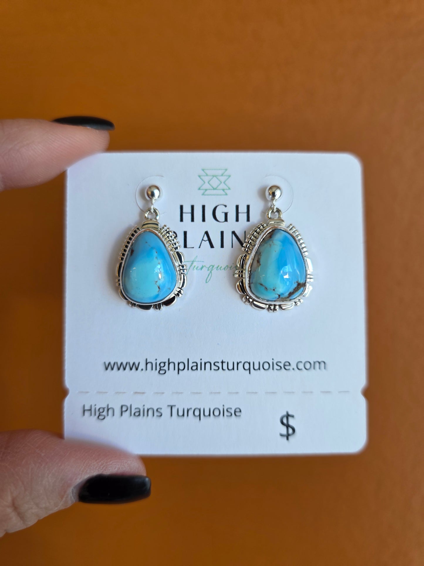 Golden Hills Turquoise Teardrop Earrings