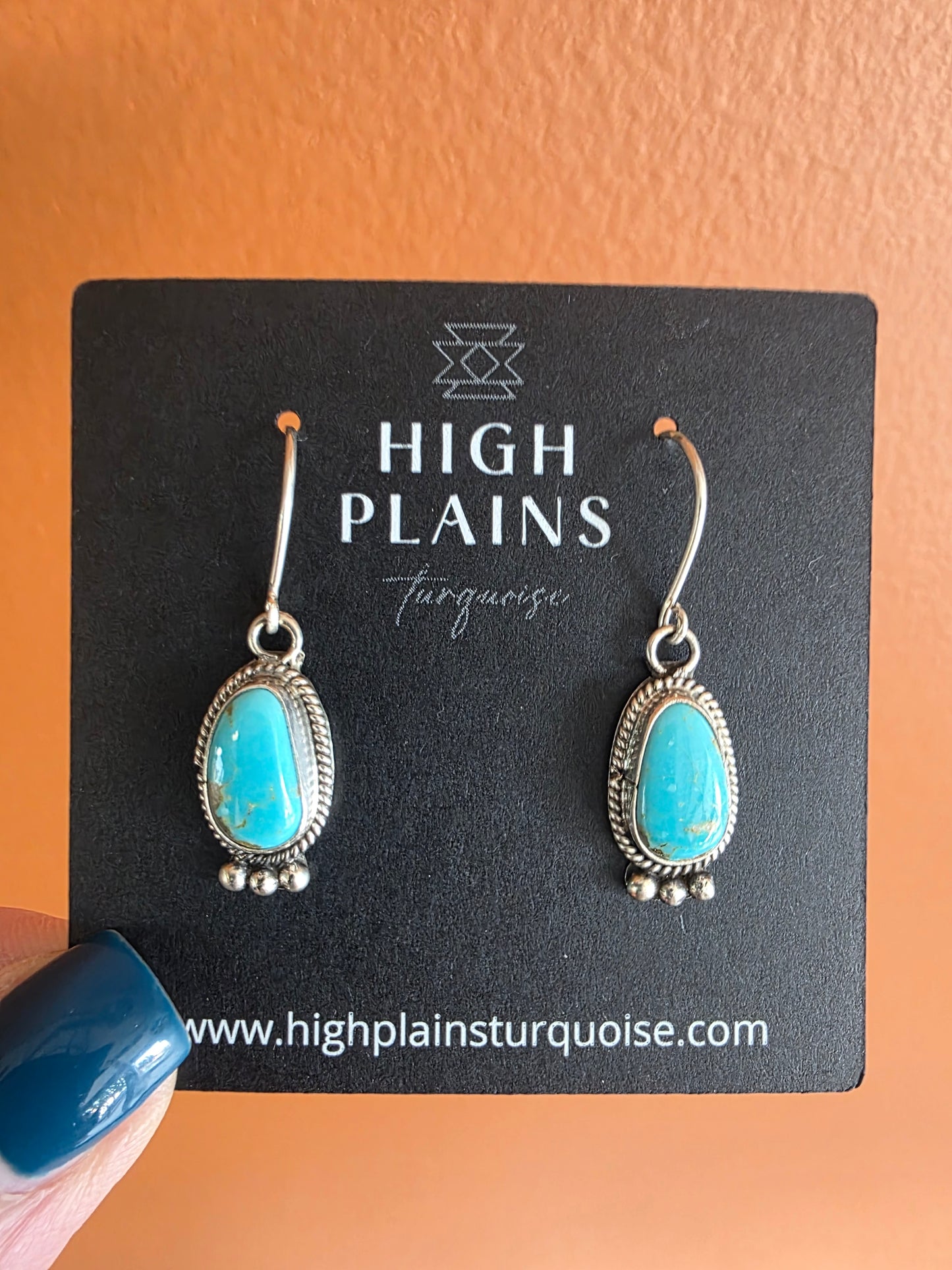 Western Sky Kingman Turquoise Drop Earrings