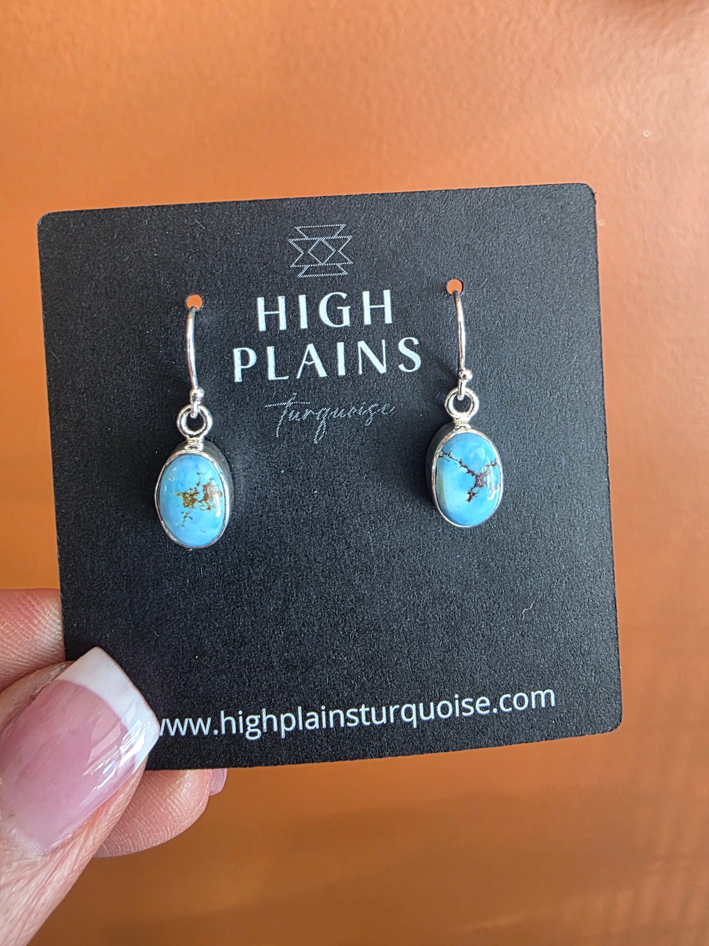 Bluebird Sky Earrings