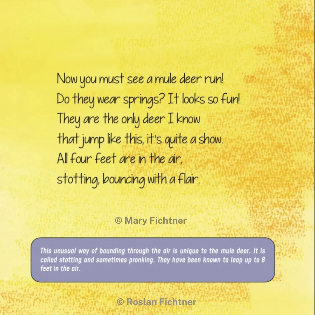 The Magnificent Mule Deer