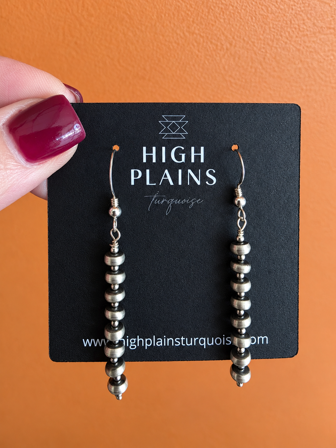 Silver Trail Stick Style Earrings