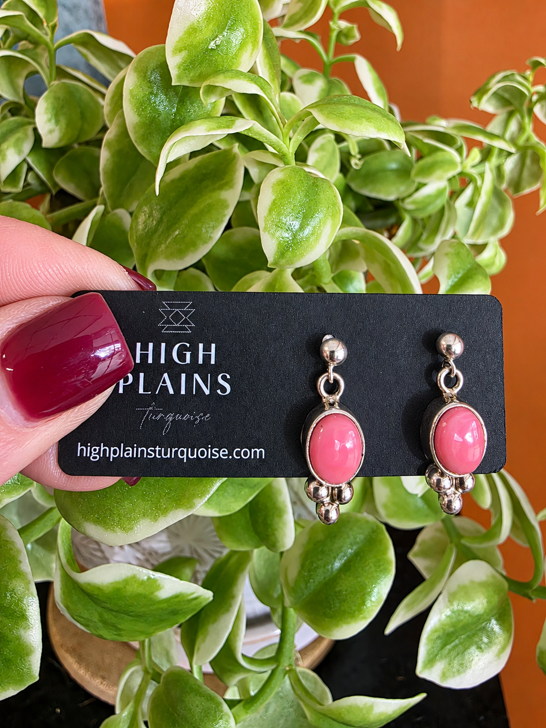 Blush Blossom Pink Conch Earrings