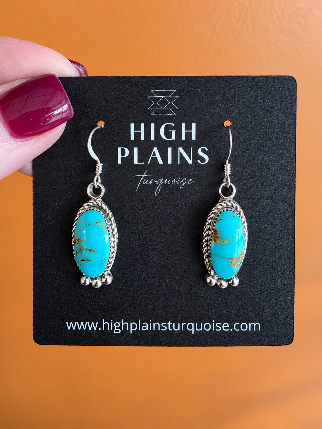 Sweetwater Kingman Turquoise Drop Earrings