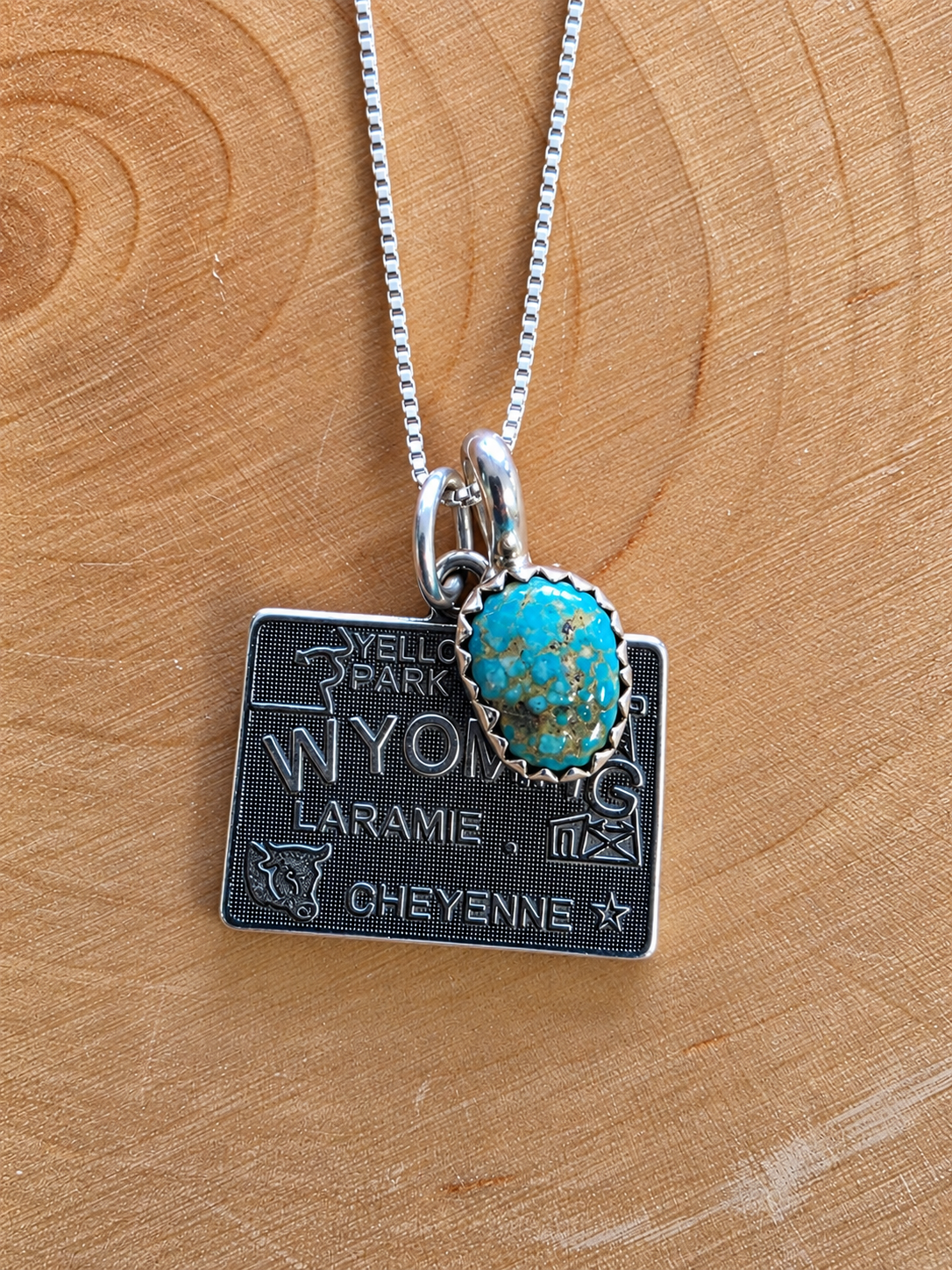 Wyoming Turquoise Charm Necklace