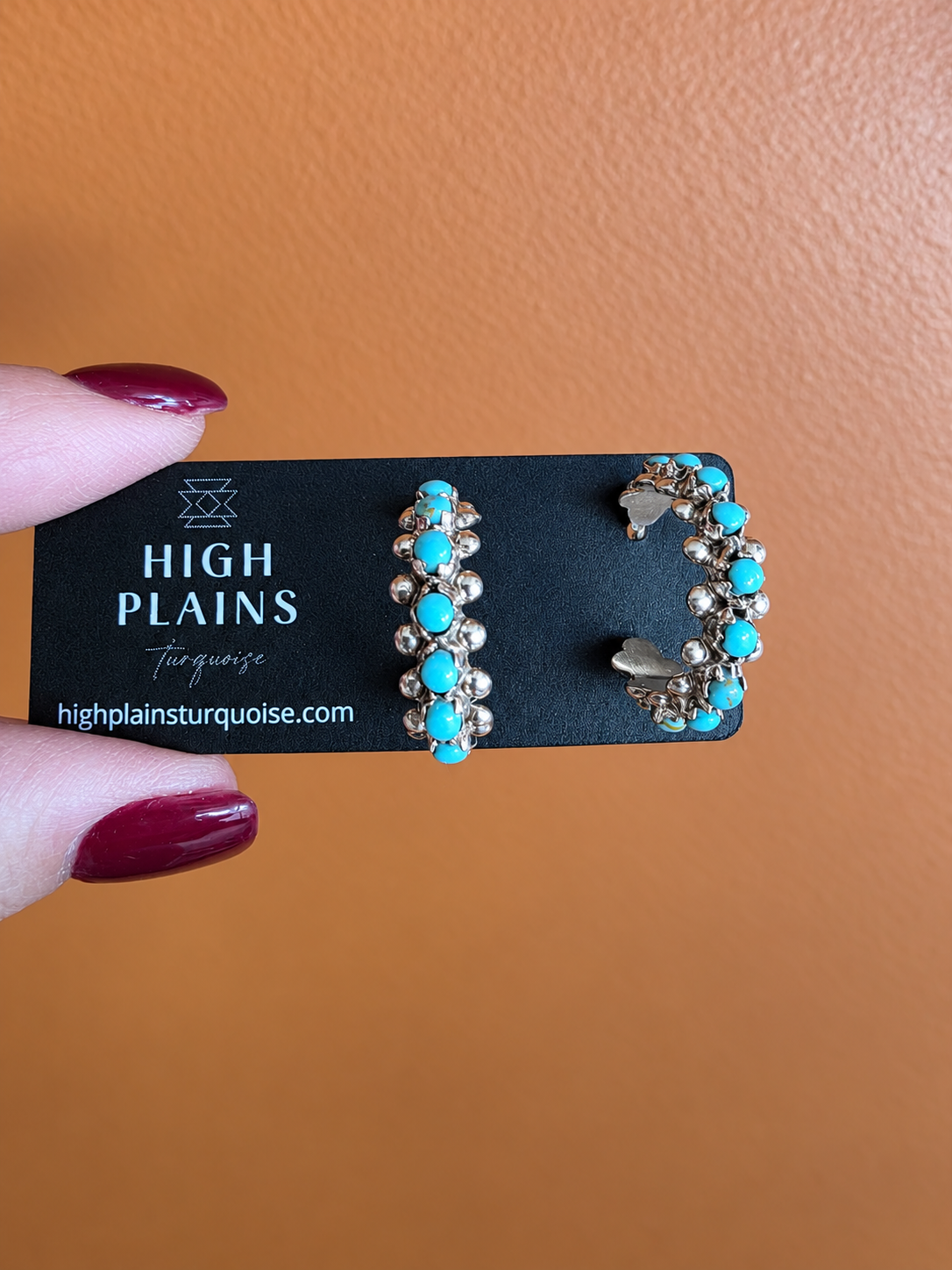 Zuni Turquoise Snake Eye Earrings