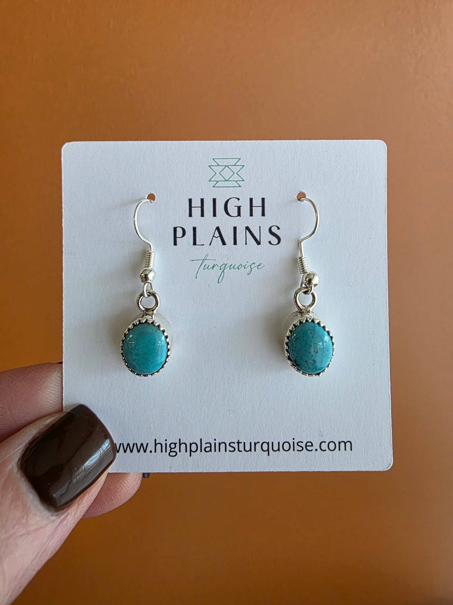 Serrated Bezel Kingman Turquoise French Wire Earrings