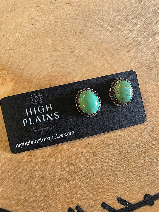 Patagonia Turquoise Stud Earrings