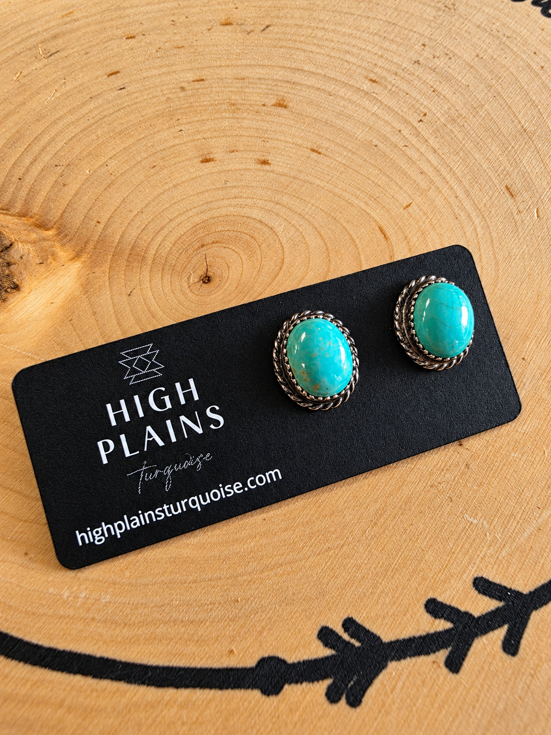 Patagonia Turquoise Stud Earrings