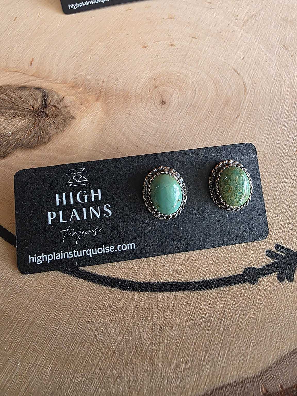 Patagonia Turquoise Stud Earrings