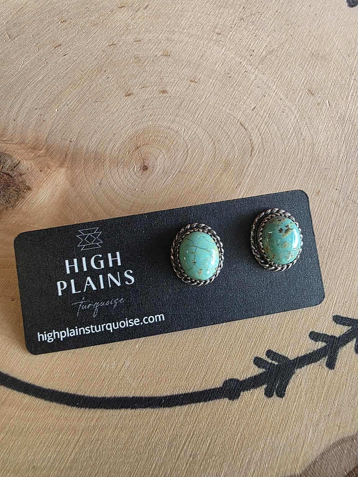 Patagonia Turquoise Stud Earrings