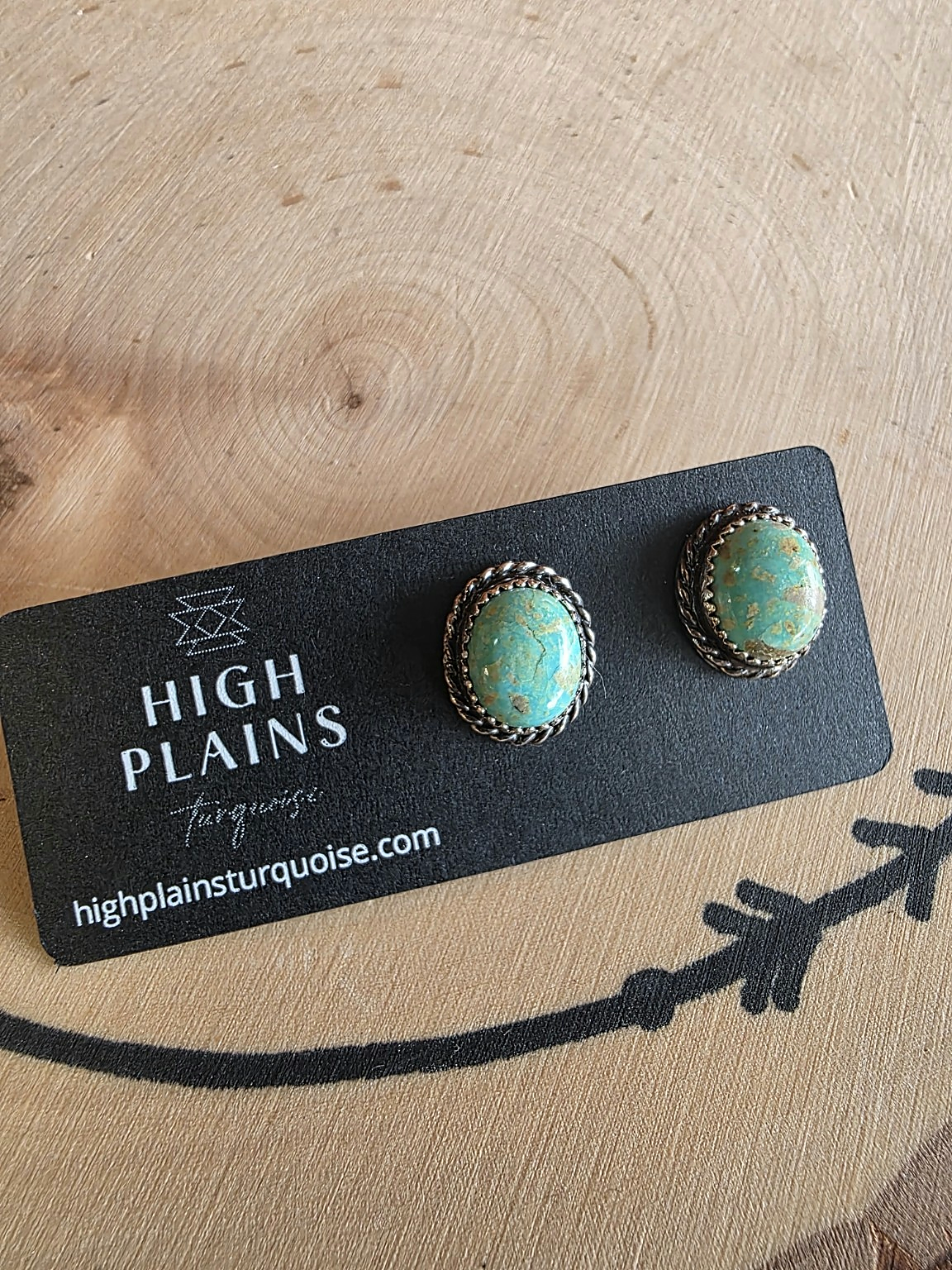 Patagonia Turquoise Stud Earrings