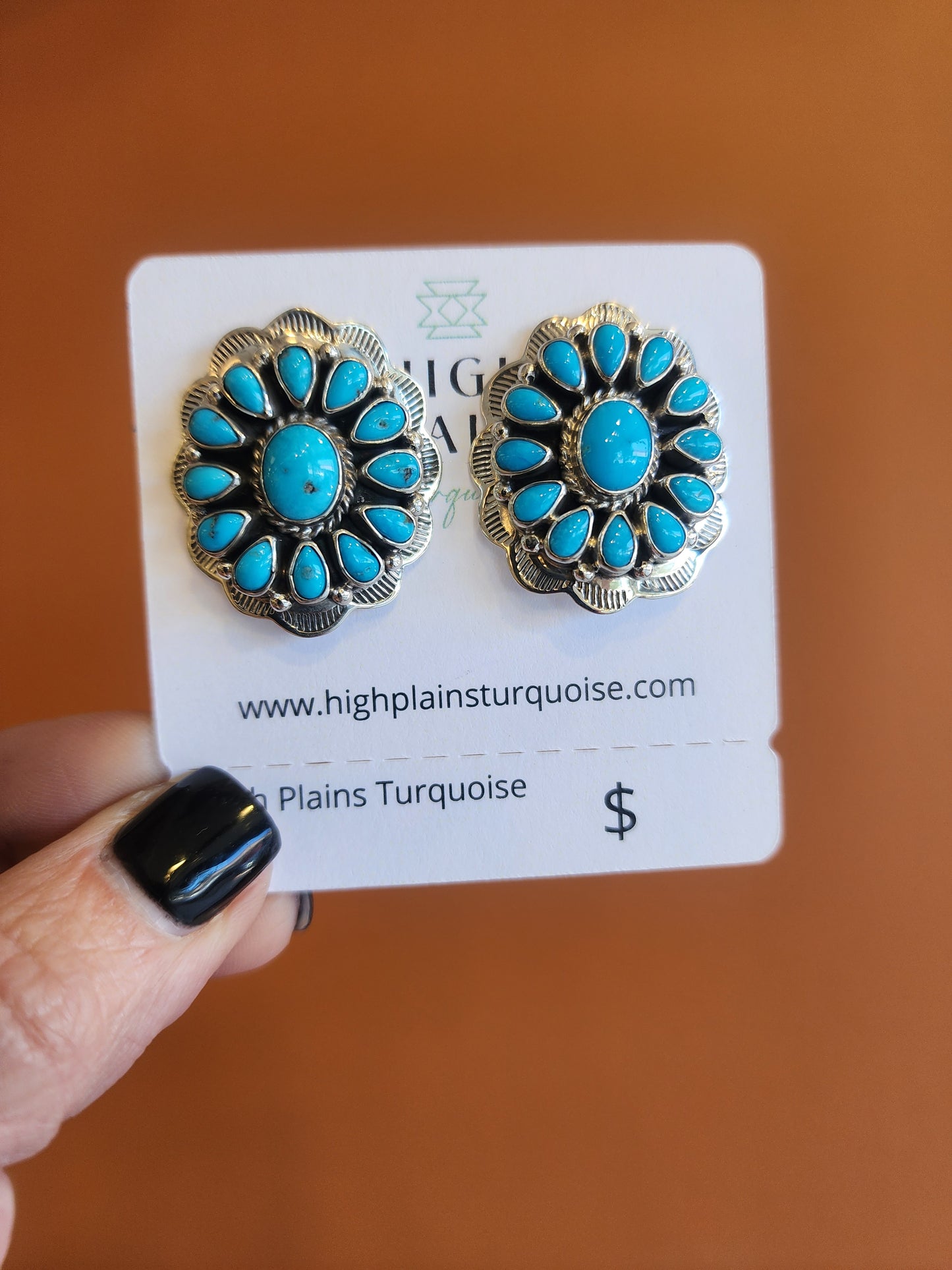 Navajo Kingman Turquoise Cluster Earrings