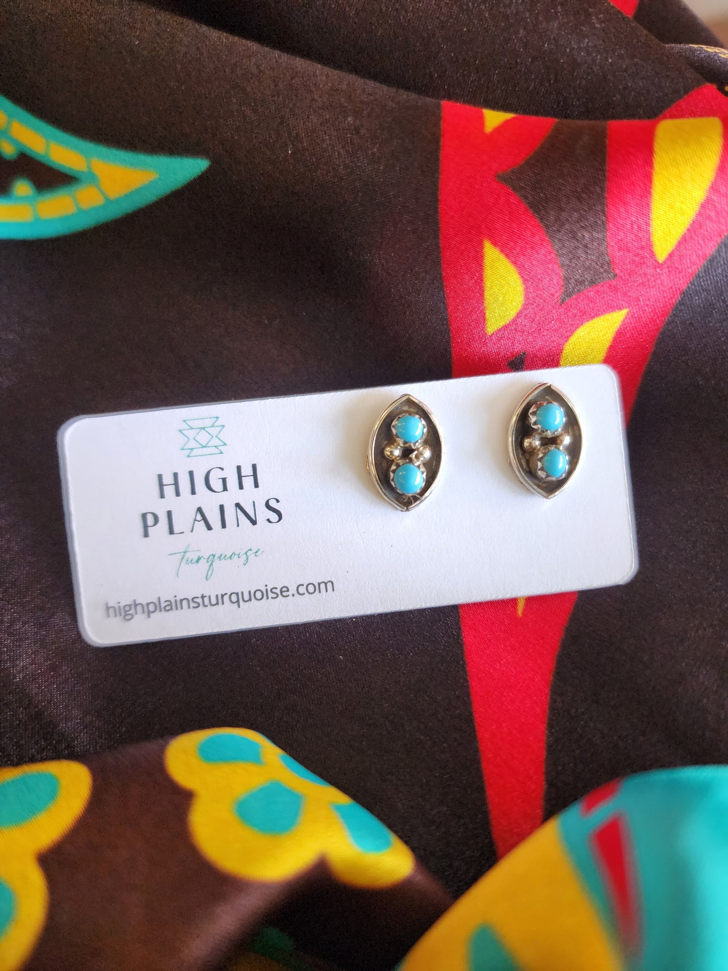 Double Dot Turquoise Earrings