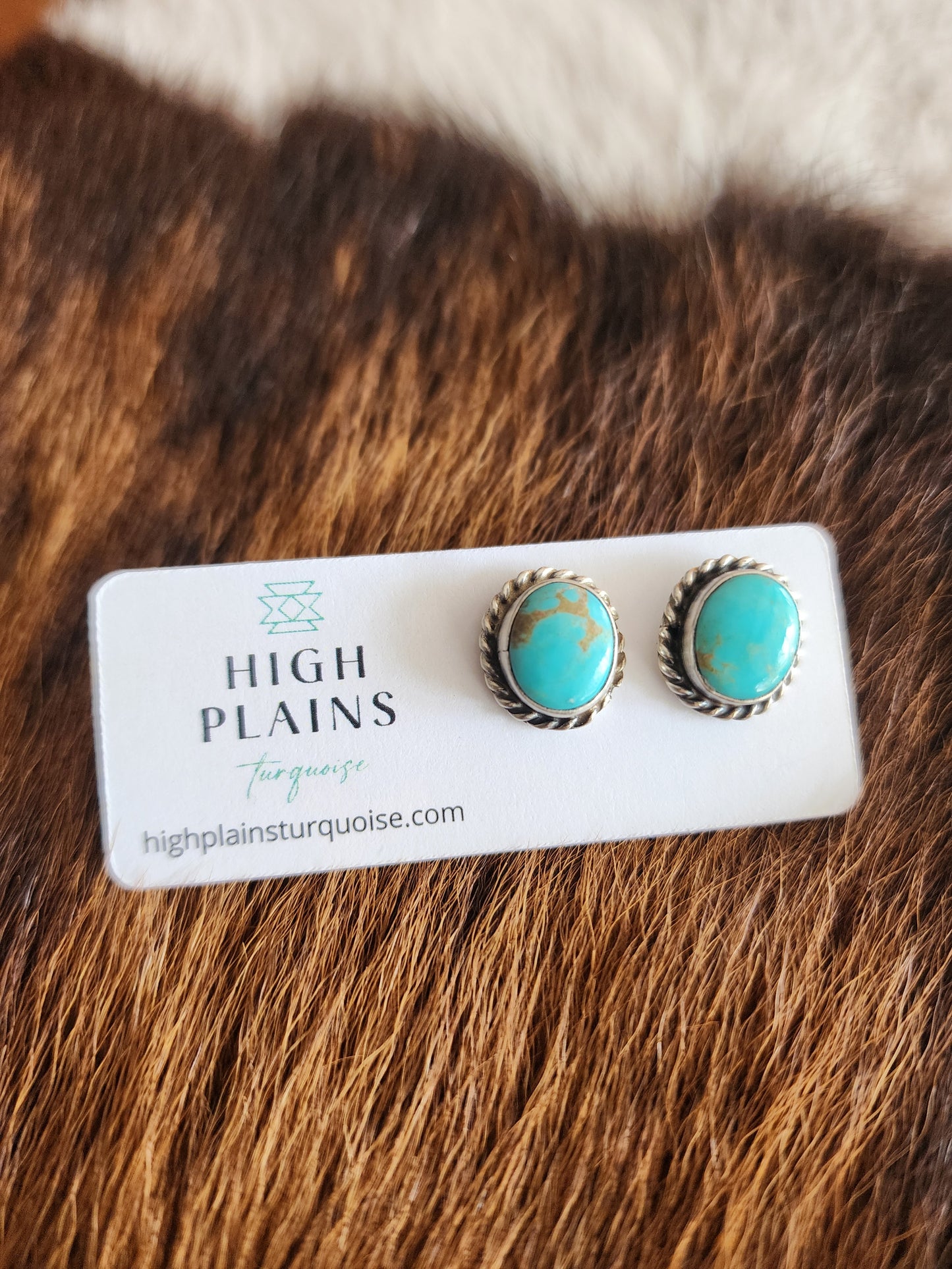 Sheryl Kee Kingman Turquoise Post Back Earrings