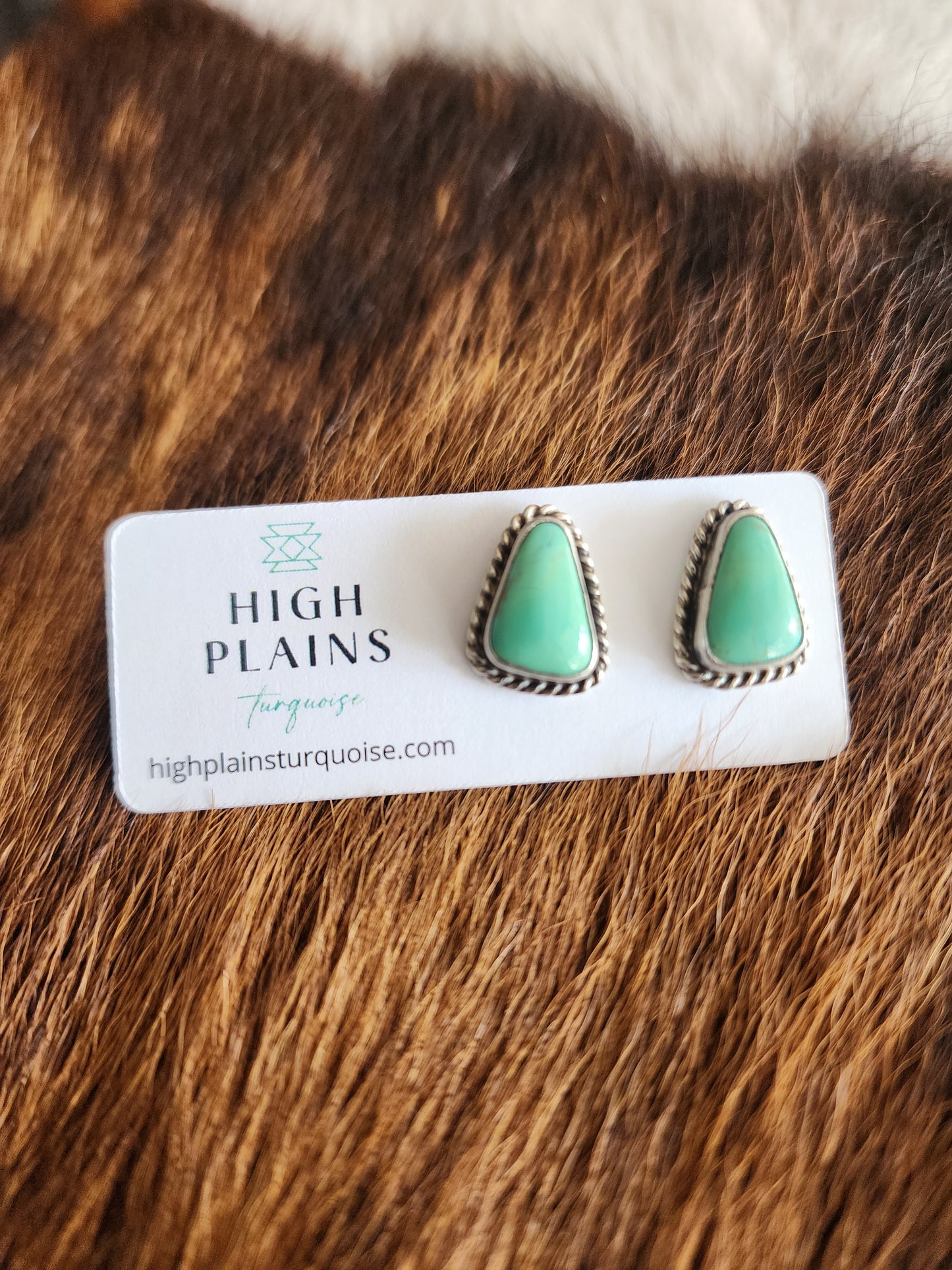 Sheryl Kee Kingman Turquoise Post Back Earrings