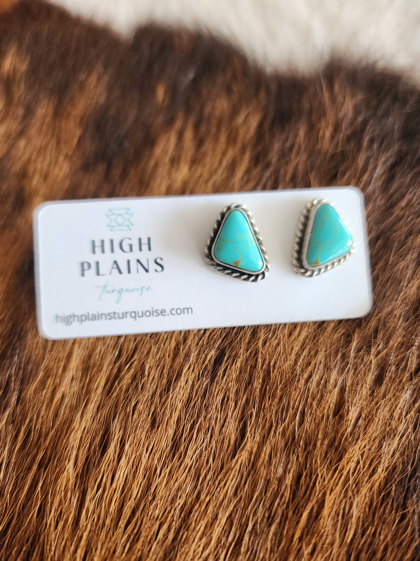 Sheryl Kee Kingman Turquoise Post Back Earrings