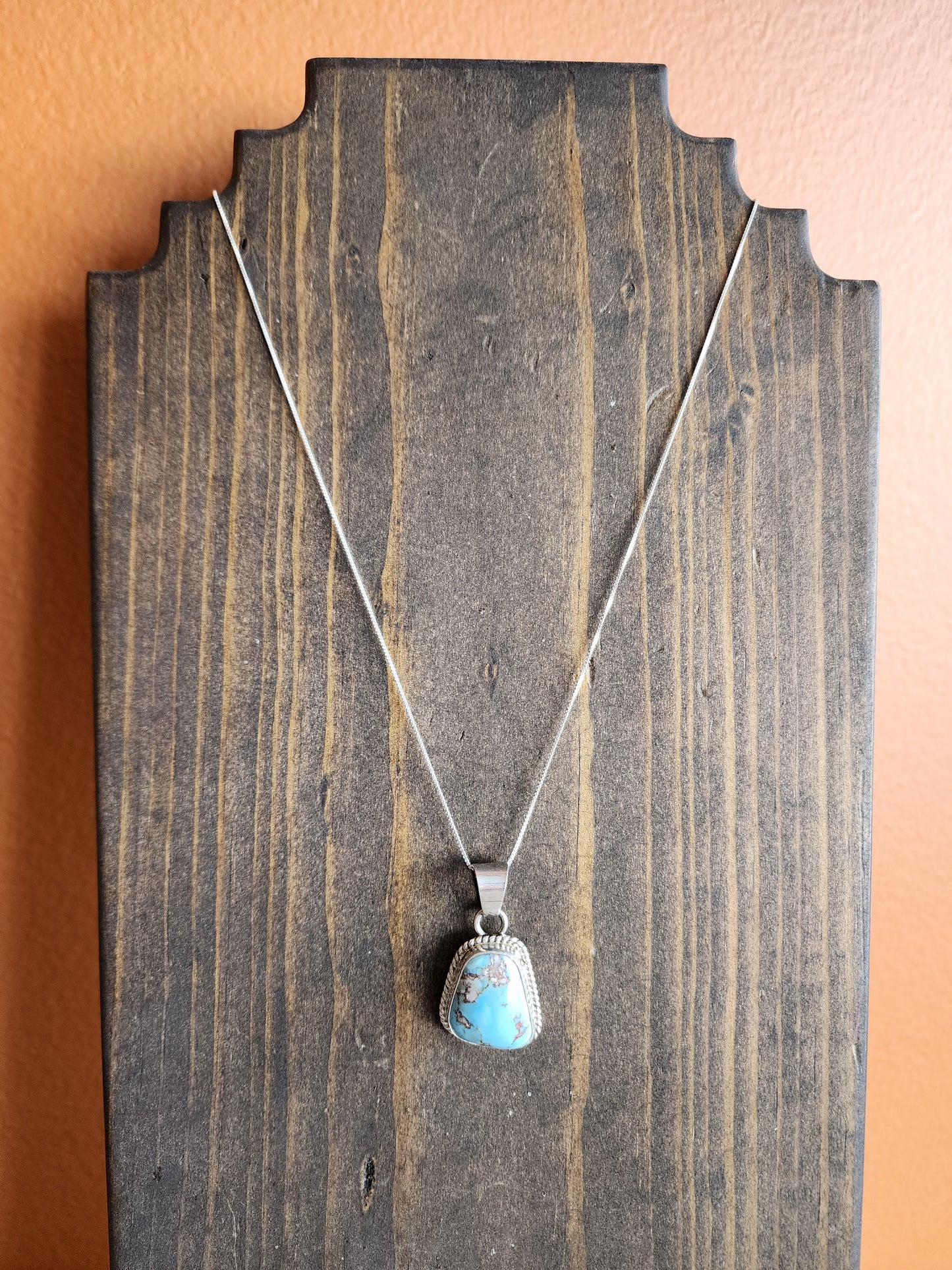 Golden Hills Turquoise Pendant Necklace with Sterling Silver Rope accent