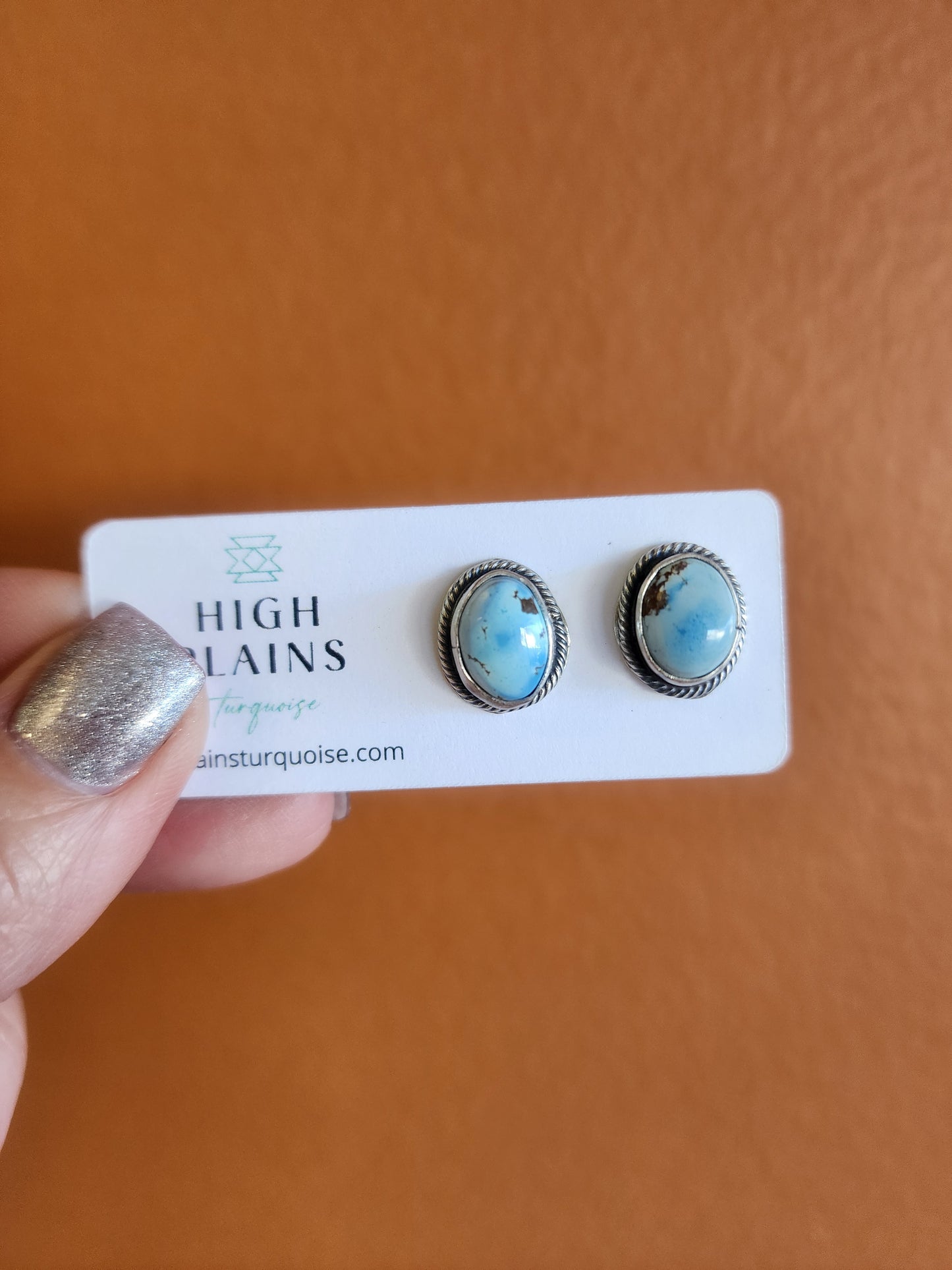 Navajo Handmade Golden Hills Turquoise Stud Earrings