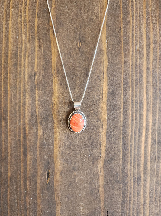 Spiny Pendant Necklace with Sterling Rope accent