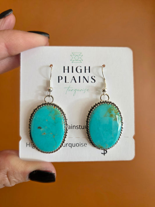 Large Oval Kingman Turquoise Earrings