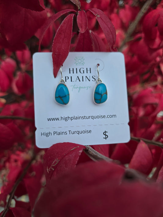 Petite Egyptian Turquoise Earrings