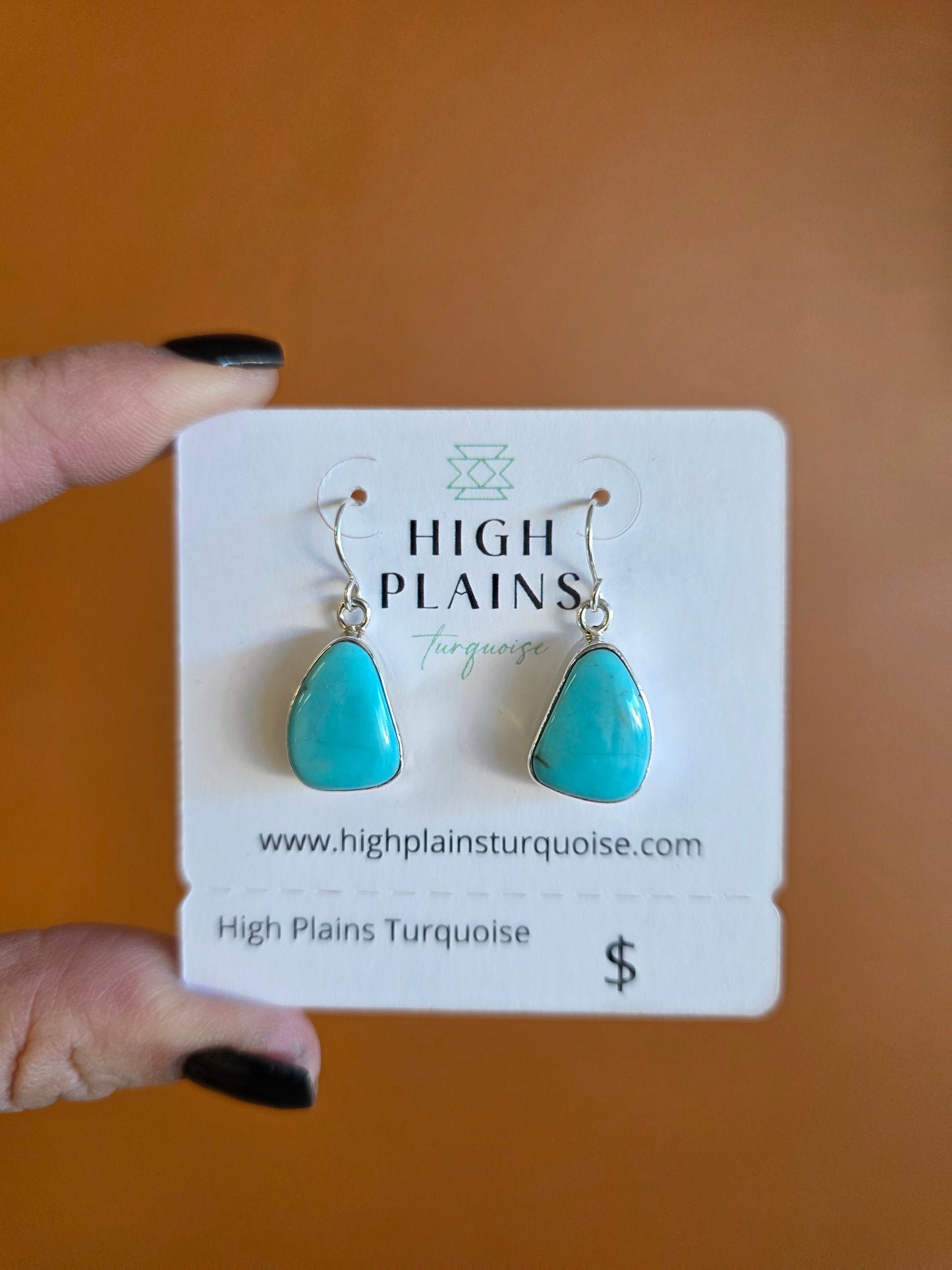 Campitos Turquoise Triangular Earrings