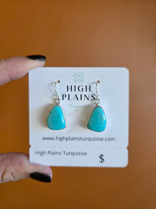 Campitos Turquoise Triangular Earrings
