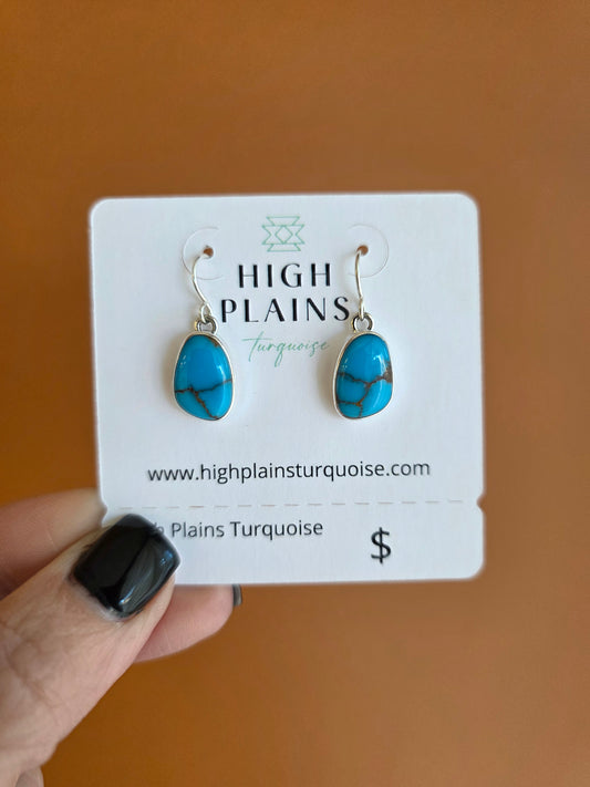 Petite Egyptian Turquoise Earrings