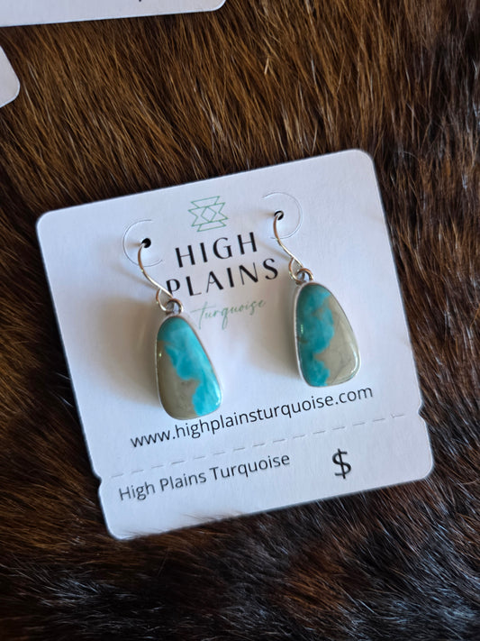 Mint Green Kingman Turquoise Drop Earrings
