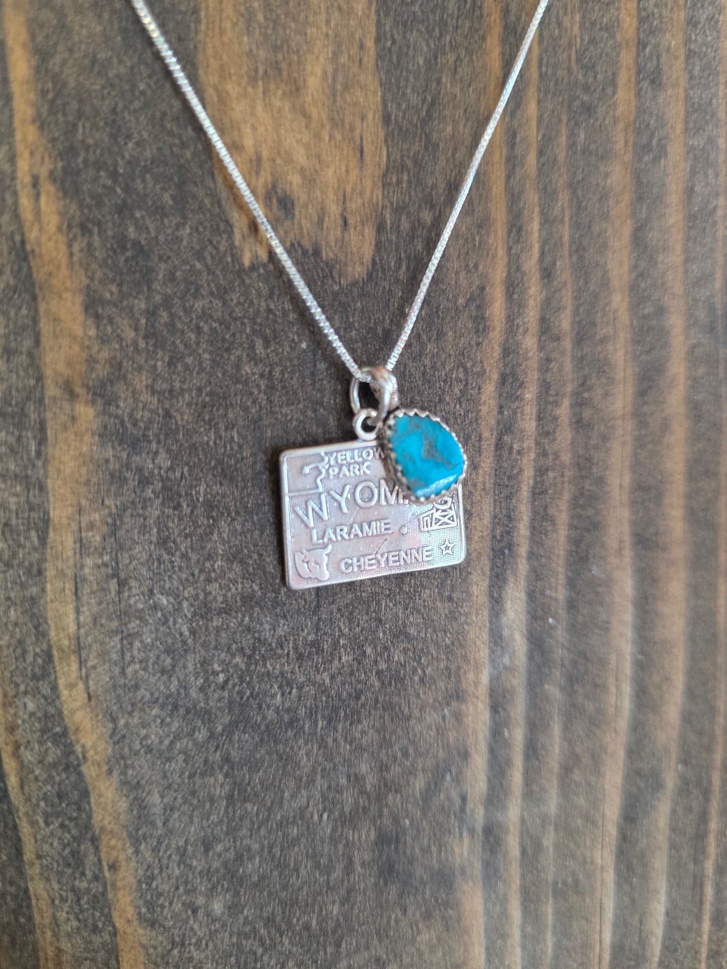 Wyoming Turquoise Charm Necklace