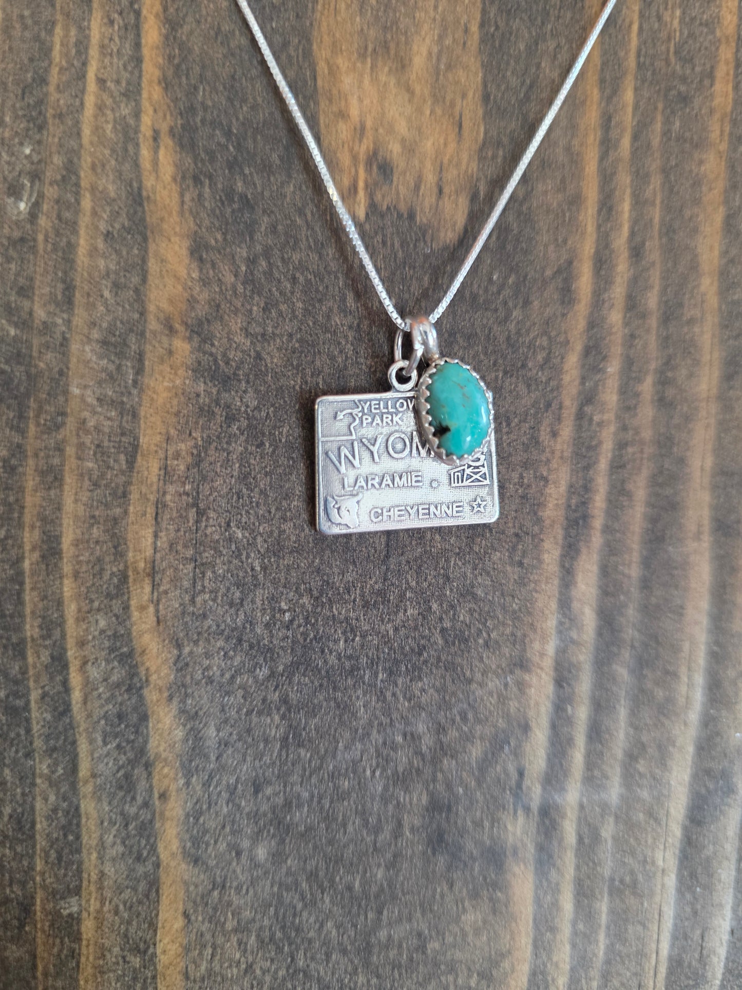 Wyoming Turquoise Charm Necklace