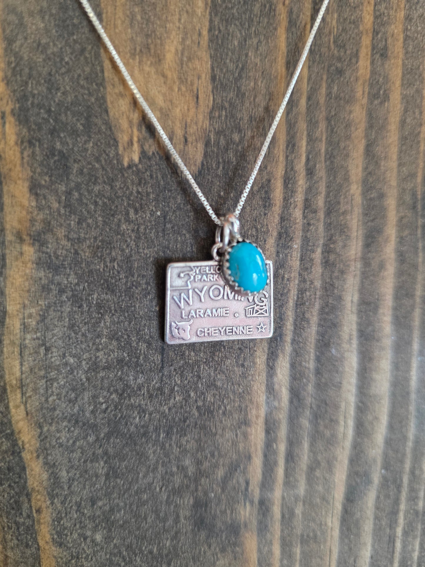Wyoming Turquoise Charm Necklace
