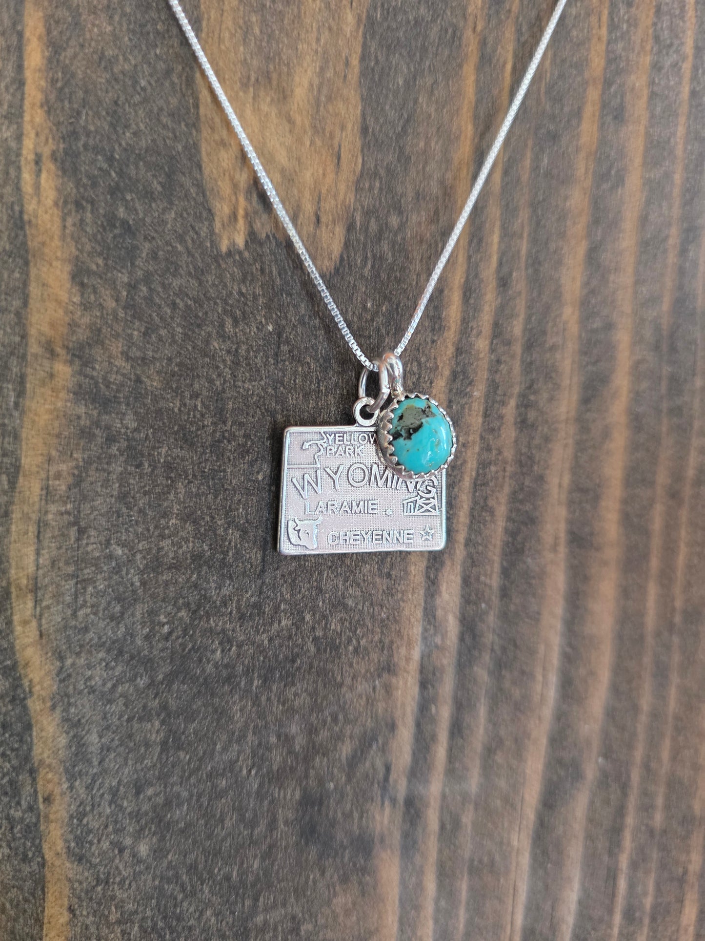 Wyoming Turquoise Charm Necklace