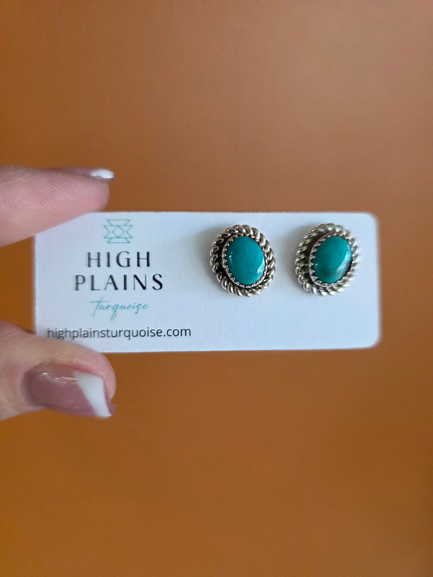 Kingman Oval Turquoise Earrings with Sterling Rope Accent