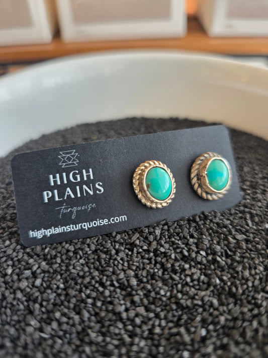 Kingman Turquoise Oval Sterling Rope Earrings