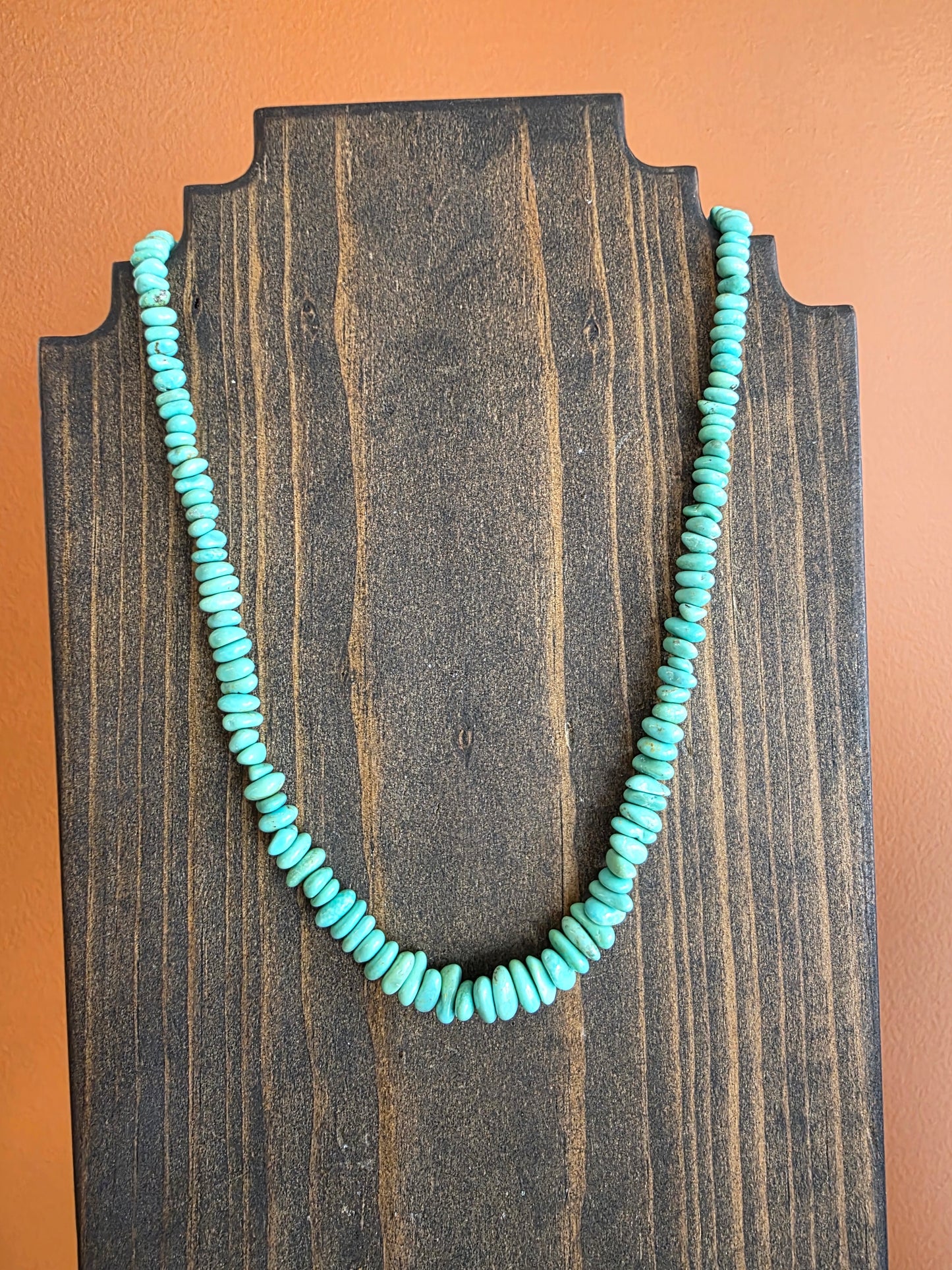 Campitos Turquoise Graduated Hand Strung Large Bead Necklace