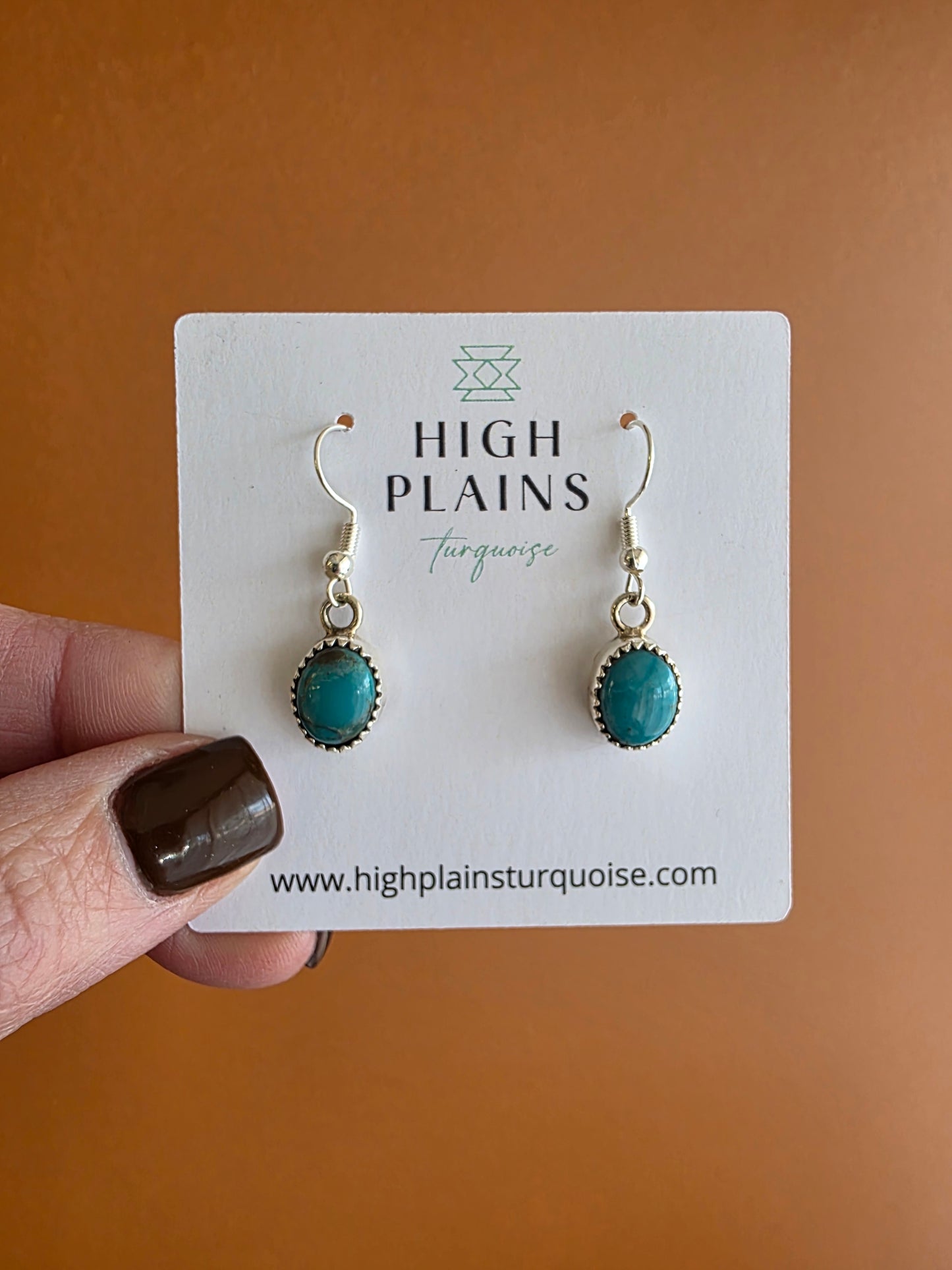 Serrated Bezel Kingman Turquoise French Wire Earrings