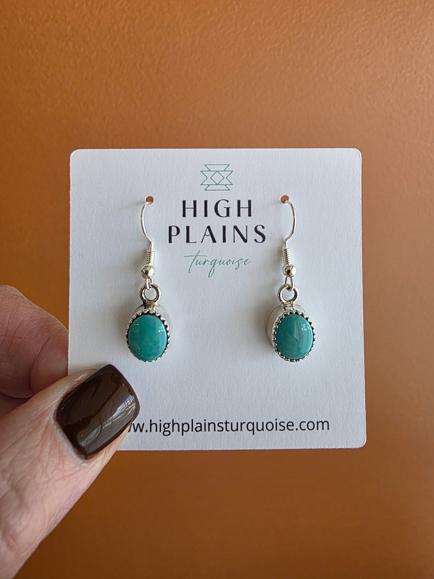 Serrated Bezel Kingman Turquoise French Wire Earrings