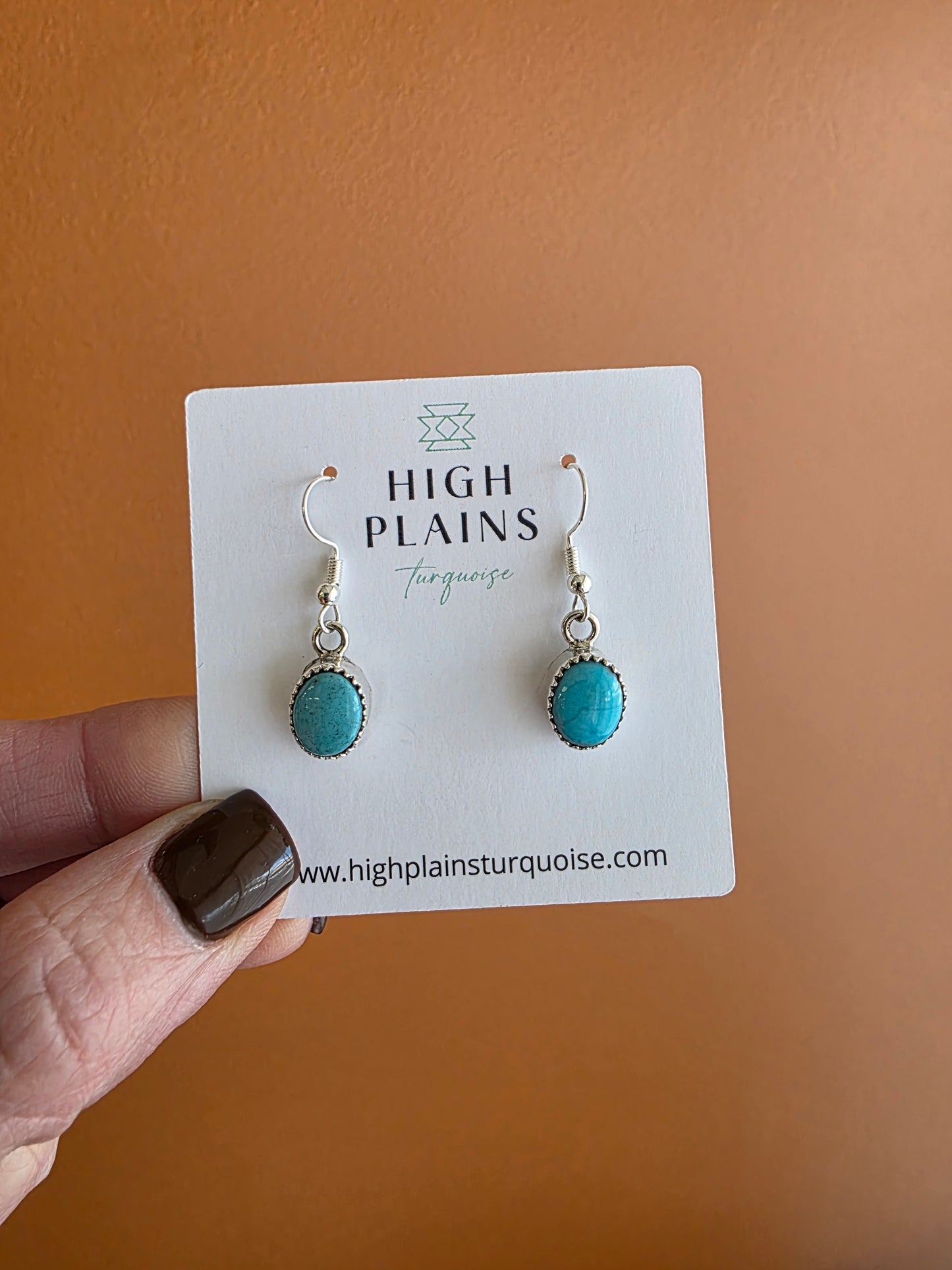 Serrated Bezel Kingman Turquoise French Wire Earrings