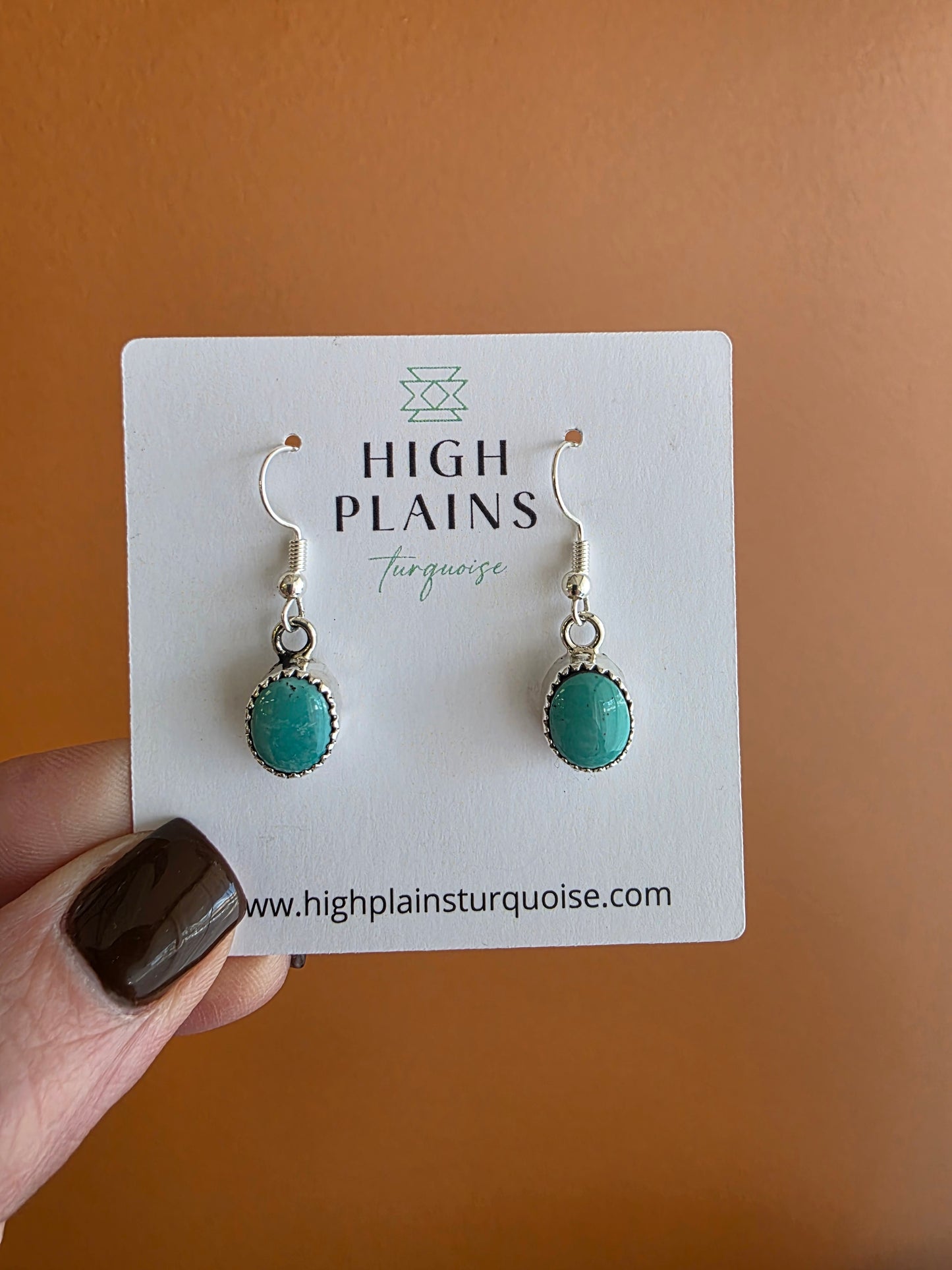 Serrated Bezel Kingman Turquoise French Wire Earrings
